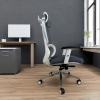 ORDA Napoli WH 821